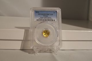 2016 pcgs pr70 DCAM CERTIFIED GOLD FOUR LEAF CLOVER (RARE DATE).  7033681836 $1 3