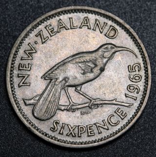 1965 Zealand Nz Sixpence 6 Pence Broken Wing Variety Rare Coin Km 26