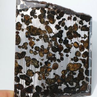 119g Rare Slices Of Kenyan Pallasite Meteorite Olive R2204
