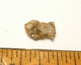 Rare California Gold Nugget W/quartz Placer Nugget.  62 Grams