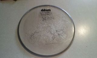 Napalm Death Drum Head Signed By The Band.  Rare