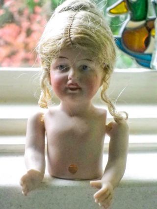 German Antique Ceramic Half Doll With Jointed Arms & Wig C.  1920 