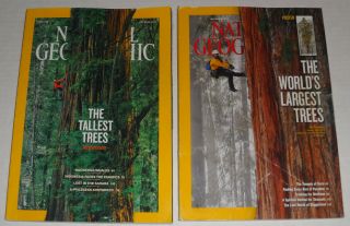 Rare National Geographic Tallest Tree 2 - Set.  2 - Posters.  10/2009,  12/201