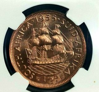 1955 South Africa Half Penny 1/2p Proof Ngc Pf65rb Pop23 Rare 2,  850 Minted 1