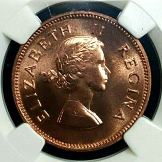 1955 south africa Half Penny 1/2P PROOF NGC PF65RB POP23 RARE 2,  850 Minted 1 3