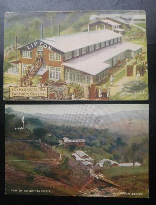 Rare Ceylon To Kitchener (berlin) & Hamilton,  Canada 1907 - 10 “lipton Tea Factory