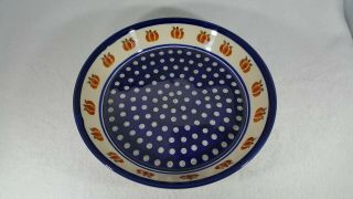 RARE Polish Pottery Boleslawiec Pumpkin Pie Dish Platter 9 3/4 inch.  Harvest 2