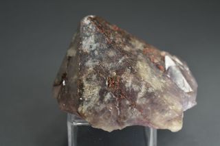 Auralite 23 " Metallic Splash " Black Tip Crystal Point Unique Rare Gem A,  Canada
