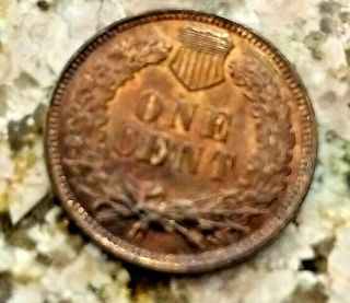 RARE 1901 U.  S INDIAN HEAD PENNY CLEAR SHARP DETAILS RD RED COLOR N/R 2