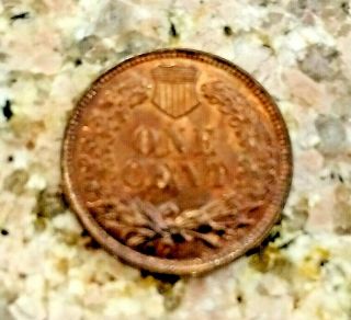 RARE 1901 U.  S INDIAN HEAD PENNY CLEAR SHARP DETAILS RD RED COLOR N/R 6