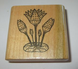 Lotus Flowers Rubber Stamp Egyptian Wood Mounted Rare Venus Fly Trap 2.  25 " Long
