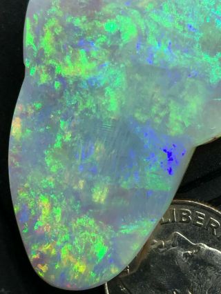 Rare Dark Base Opal Huge Gem Multicolor 51 Ct Aus Lightning Rdg,  Cutters Look