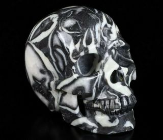 Huge 5.  3 " Rare Fossil Carved Crystal Skull,  Realistic,  Crystal Healing