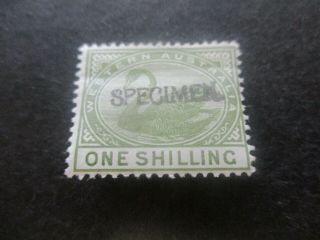 Western Australia Stamps: 1885 - 1906 Specimen - Rare (e211)