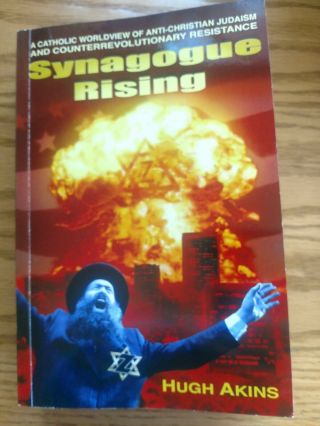 Synagogue Rising By Hugh Akins Rare First Edition 2012