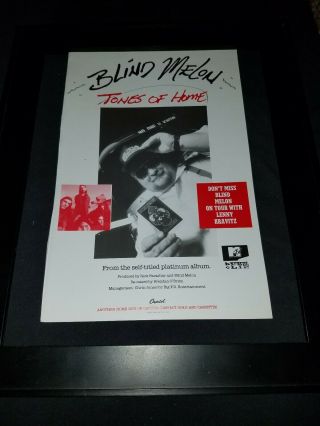 Blind Melon Tones Of Home Rare Radio Promo Poster Ad Framed