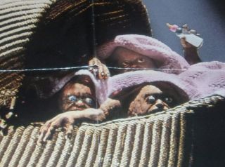 Basket Case 3 movie rental poster 1991 horror Halloween rare 4