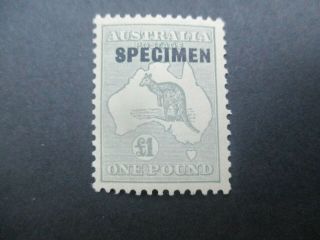 Kangaroo Stamps: £1 Specimen C Of A Watermark - Rare (f318)