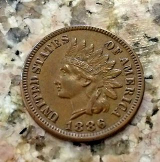 Rare 1886 U.  S Indian Head Penny Brown Type 1 Clear Sharp Details N/r