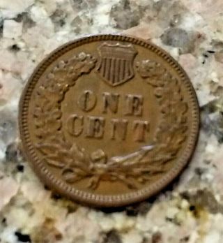 RARE 1886 U.  S INDIAN HEAD PENNY BROWN TYPE 1 CLEAR SHARP DETAILS N/R 4