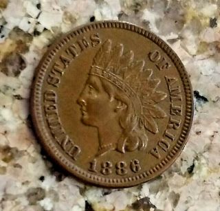 RARE 1886 U.  S INDIAN HEAD PENNY BROWN TYPE 1 CLEAR SHARP DETAILS N/R 7