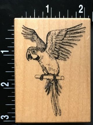 Rare Limited Macaw Parrot Bird Animal Psx Wood Mounted Rubber Stamp