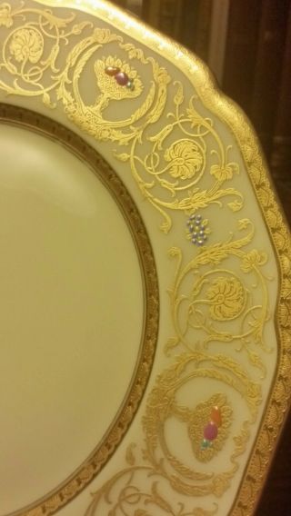 Hohenberg Bavaria Dinner Plate Rare Design GOLD Off WHITE FLORAL 2