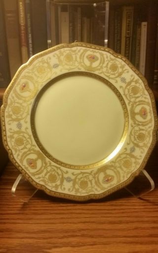 Hohenberg Bavaria Dinner Plate Rare Design GOLD Off WHITE FLORAL 6
