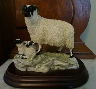 Rare Border Fine Arts Scotland Black Faced Ewe With Lambs Sculpture Collectable