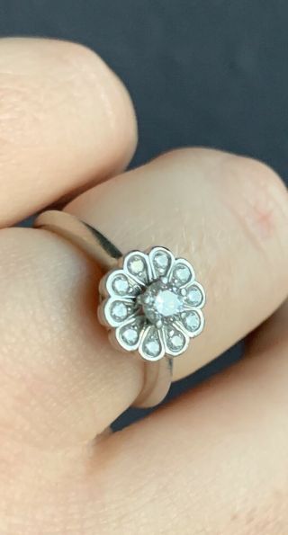 Tiffany & Co Enchant Flower Platinum Diamond Ring Size 6.  5 Rare Design W/ Box