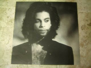 Prince 1988 Lovesexy Portrait 12 X 12 Promo Flat Picture B&w Rare