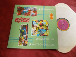 Buzzcocks Are Everything Rare 12 " Canada Punk Wave