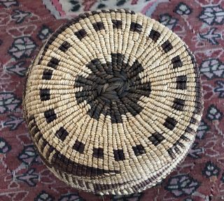 Rare Old Klamath Indian Basket With Yellow Quills 4