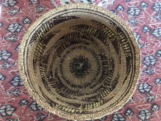 Rare Old Klamath Indian Basket With Yellow Quills 5