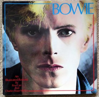 Rare Bowie David Book An Illustrated Record By Roy Carr And Charles Shaar Murray