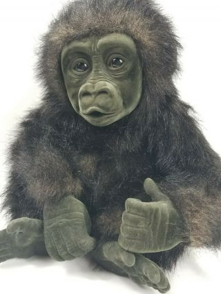 Gorilla Silverback Plush Baby Monkey Patty The Gentle Giant Bronx Zoo Congo Rare