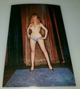 Rare 1950s Trudy Wayne Burlesque / Pin Up Postcard From Trudy`s Estate Incl