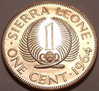 Rare Proof Sierra Leone Proof 1964 1 Cent Only 10,  000 Minted 1st Year Ever Fr/sh