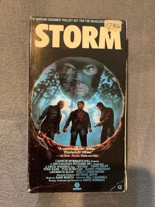 Storm (vhs) 1987 Adventure Movie David Palfy Stan Kane Tom Schioler Rare