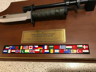 The Operation Desert Storm Commemorative Knife Plaque M9 Bayonet Rare VHTF M - 9 2