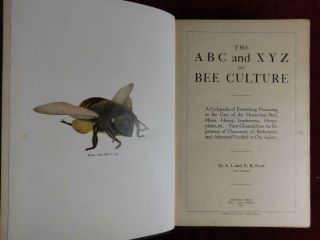 ABC & XYZ of BEE CULTURE by ROOT/HONEY - BEES HIVES/APICULTURE/RARE 1917 2
