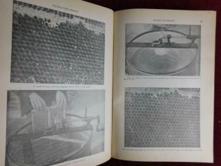 ABC & XYZ of BEE CULTURE by ROOT/HONEY - BEES HIVES/APICULTURE/RARE 1917 4