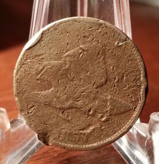 1857 Flying Eagle Cent Rare Rough 27