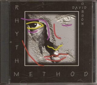 David Gibson The Rhythm Method Cd Mega Rare Indie Aor Melodic Rock 1996