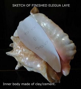 Elegua Laye Sea Conch Statue/charged/santeria/rare/hard To Find