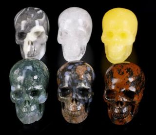 2.  0 " Rare Fossil&mahogany Obsidian Carved Crystal Skull,  Realistic,  Healing