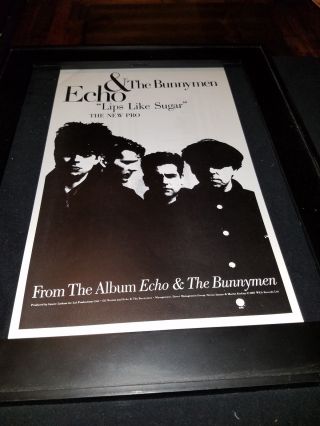 Echo And The Bunnymen Lips Like Sugar Rare Radio Promo Poster Ad Framed