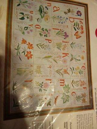 Vintage Paragon Needle Craft Wildflowers Alphabet Sampler Rare 0955 4
