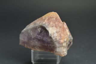 Auralite 23 " Violet Light " Unique Brown Tip Crystal Point Rare A,  Gem Canada