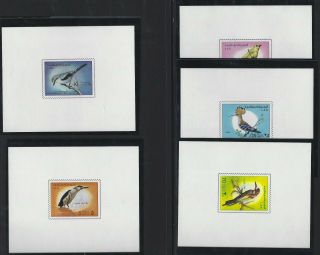 Lybia 1976 " Birds Of Libya " 5 Lux Blocks Rare Mnh